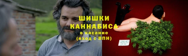 прущая мука Арсеньев