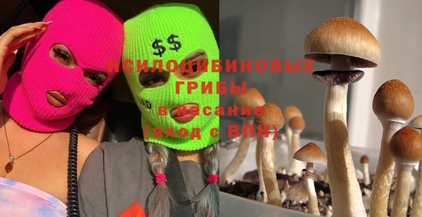 ГАЛЛЮЦИНОГЕННЫЕ ГРИБЫ Балахна
